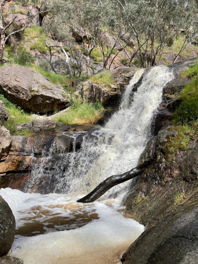 Warby Cottage Wangaratta Bagian luar foto