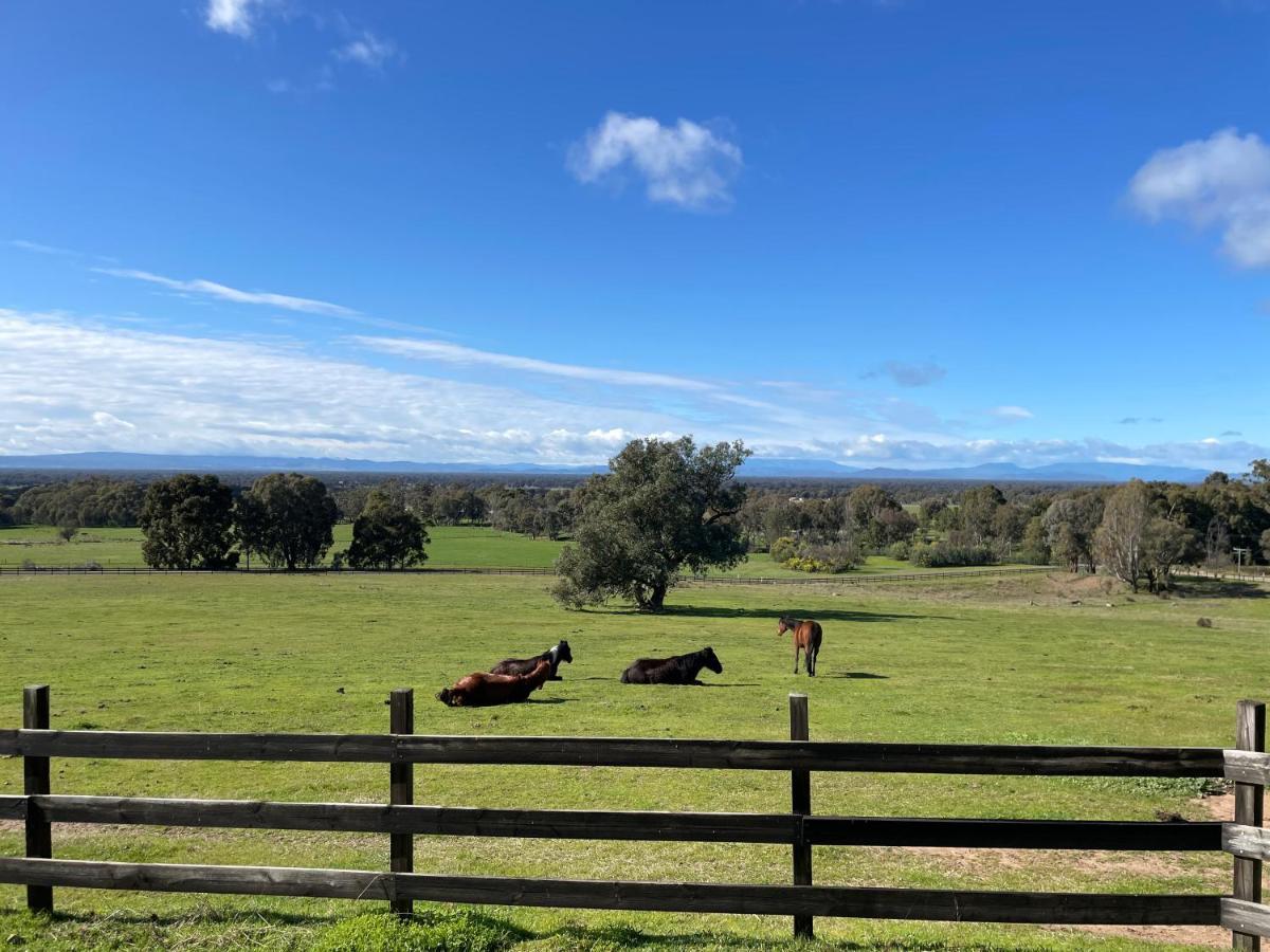Warby Cottage Wangaratta Bagian luar foto