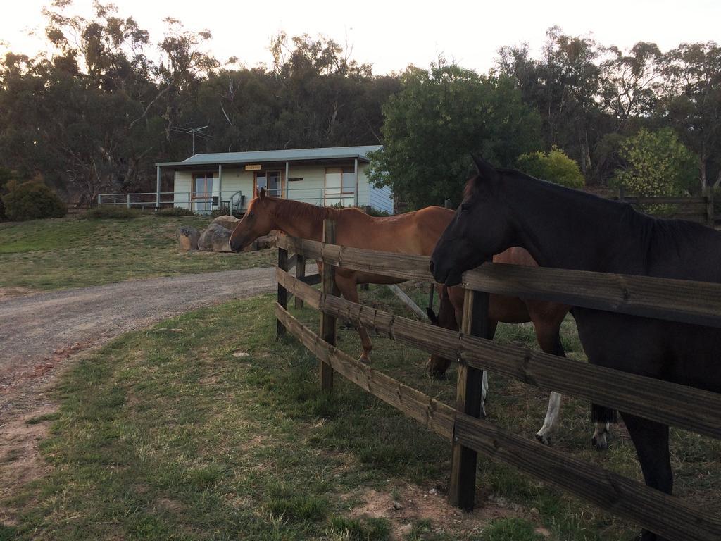 Warby Cottage Wangaratta Bagian luar foto