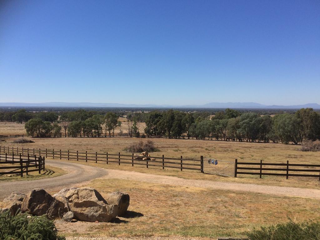 Warby Cottage Wangaratta Bagian luar foto